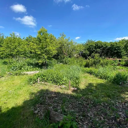 ベッド・アンド・ブレックファスト Eco Logis De Chantegrolle Champagne-Mouton