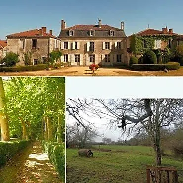 Eco Logis De Chantegrolle Champagne-Mouton