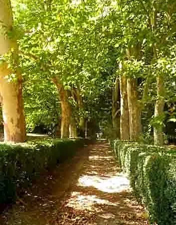 Eco Logis De Chantegrolle Champagne-Mouton