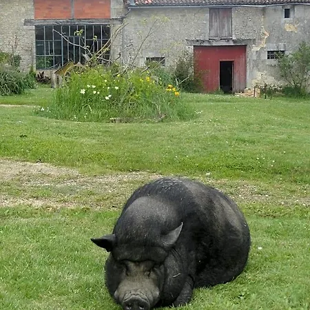 Eco Logis De Chantegrolle Panzió 4*