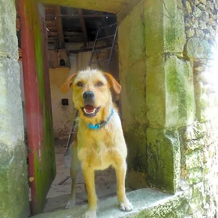 Panzió Eco Logis De Chantegrolle