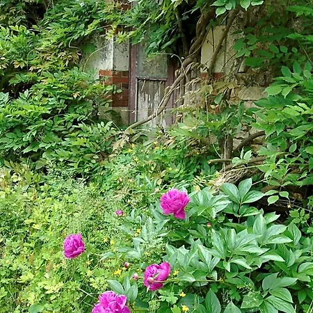 Panzió Eco Logis De Chantegrolle 4*