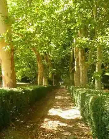 Eco Logis De Chantegrolle Champagne-Mouton