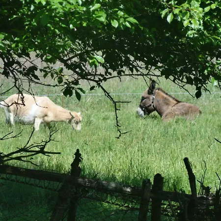 Eco Logis De Chantegrolle ベッド・アンド・ブレックファスト Champagne-Mouton