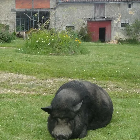 Eco Logis De Chantegrolle ベッド・アンド・ブレックファスト