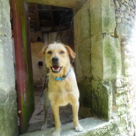 Eco Logis De Chantegrolle 4* Champagne-Mouton