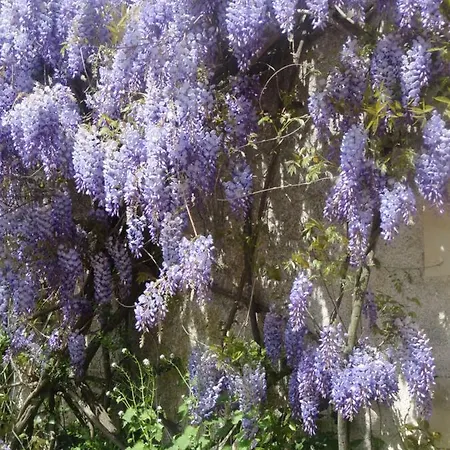 Eco Logis De Chantegrolle ベッド・アンド・ブレックファスト Champagne-Mouton