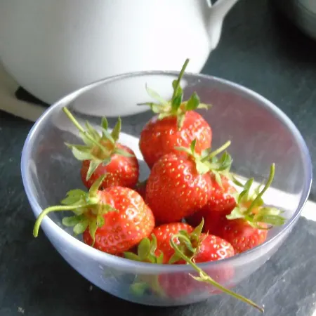 Eco Logis De Chantegrolle ベッド・アンド・ブレックファスト Champagne-Mouton